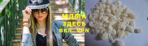 индика Няндома