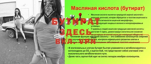 шишки Гусев