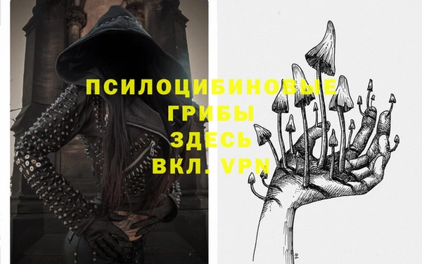 шишки Гусев