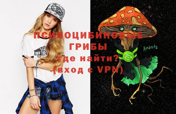 ешки Гусь-Хрустальный