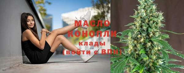 ешки Гусь-Хрустальный